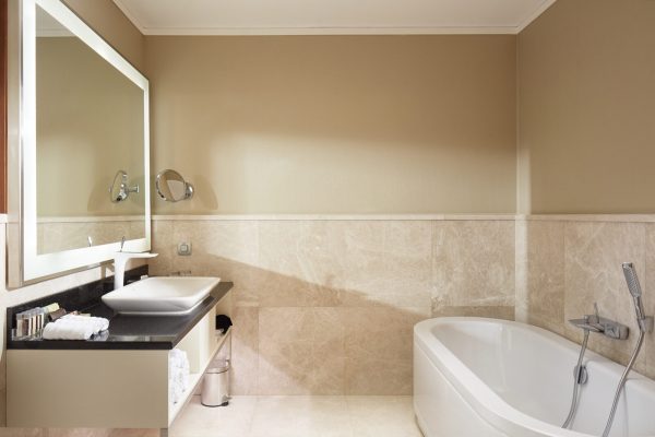 bathroom-ambassador